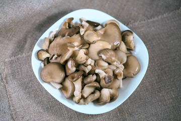 mushrooms of a veshanka and champignons in sauce in a white plate on a table