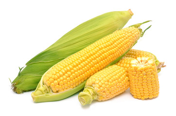 Corn