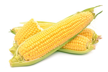 Corn