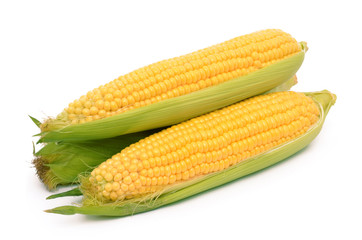 Corn