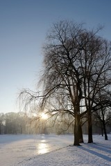 Sonnenaufgang im Englischen Garten in München