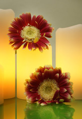 Gerbera flowers and lit electric candles on a green glass, Spa Style, selective focus