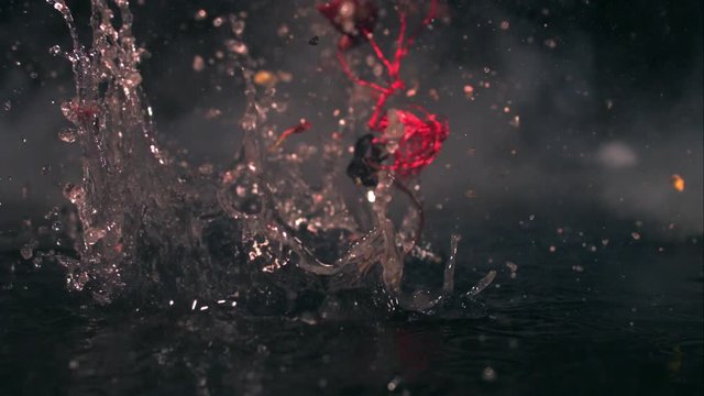 Ripe plum in shallow water explodes shooting debris and water in all directions.
