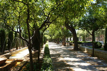 Jardines del Rey in Palma de Mallorca, Spain