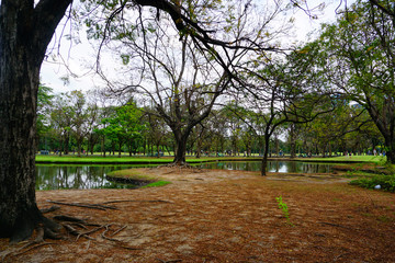 Wachirabenchathat Park or State Railway Public Park is a name of public park in Chatuchak district, Bangkok, Thailand.