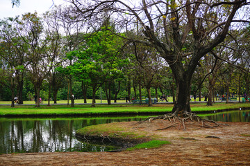 Wachirabenchathat Park or State Railway Public Park is a name of public park in Chatuchak district, Bangkok, Thailand.