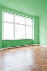 Fototapeta na wymiar Apartment interior, green walls