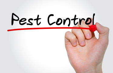 Hand writing inscription Pest Control with marker, concept