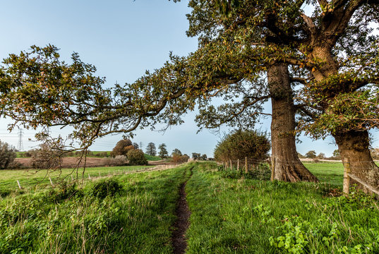 Norfolk Countryside