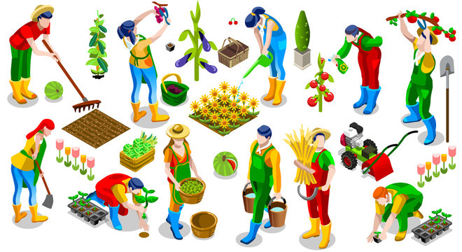 Isometric isolated farmer man farming people 3D icon set collection vector illustration. Farm field farmland life scene seed plant gardening tool