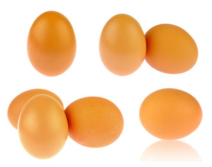 Brown eggs on white background