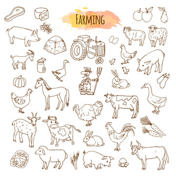 Hand drawn farm elements. Farming tools and animals.