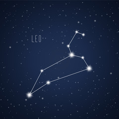 Vector illustration of Leo constellation on the background of starry sky © soloviivka