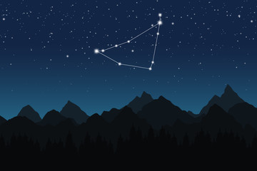Vector illustration of Capricorn constellation on the background of starry sky and night mountain © soloviivka