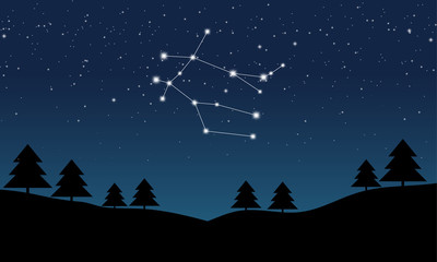 Vector illustration of Gemini constellation on the background of starry sky and night landscape