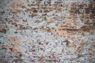 From the old wall plaster showered