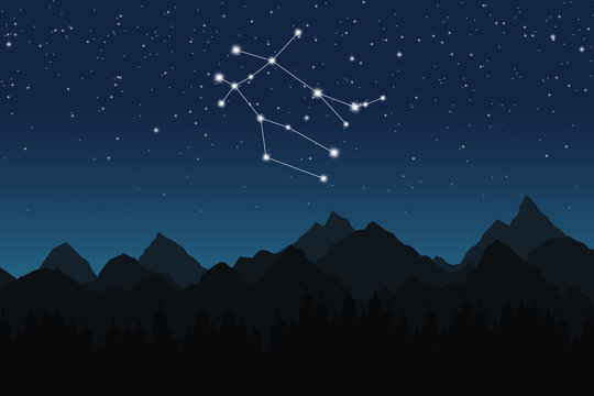 Vector illustration of Gemini constellation on the background of starry sky and night mountain