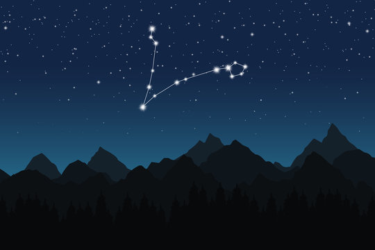 Vector illustration of Pisces constellation on the background of starry sky and night mountain