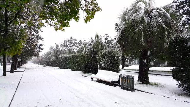 Boulevard in Batumi was covered with snow