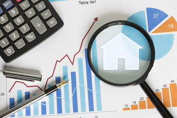 Business search loupe magnifier house home chart web diagram