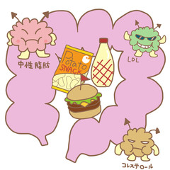 食べ物と内蔵脂肪のイメージ / 健康のイラスト素材