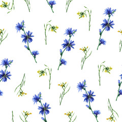 Seamless pattern with yellow rocket and blue chicory flowers. Hand drawn watercolor painting on white background.