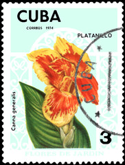 CUBA - CIRCA 1974: Postage stamp printed in Cuba shows the flower Canna generalis, series garden...