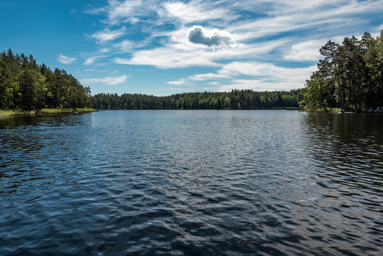View over forest lake a beautiful summer day, with blue cloudy sky