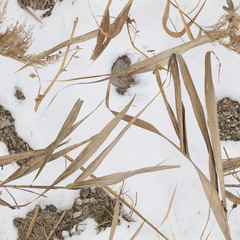 Water reed, snow and rock pattern camouflage for duck hunter