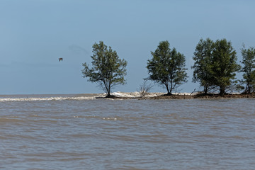 Quand le fleuve Sinnamary se vide dans l'océan Atlantique en marée haute en Guyane française