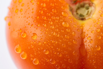 tomato with water drops