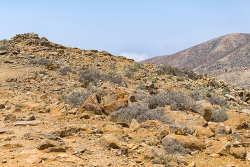 Exploring Fuerteventura