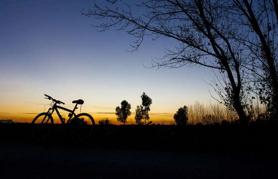 Silhouette of Mountain bike at sunset nder tree on blue sky