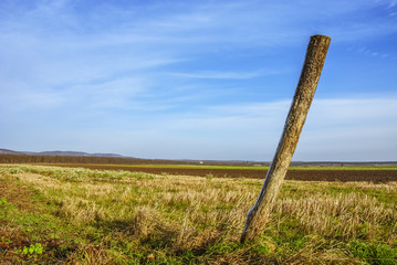 Flache Landschaft im Burgenland mit Feldern und einem Steher