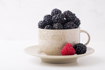 Fresh blackberry berries in a cup on white background