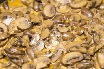 Champignonpfanne 01 - 07