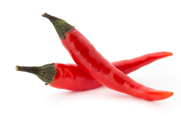 Chili pepper on the white background.