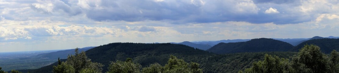 Ausblick vom Ludwigsturm auf den Pf&auml;lzer Wald und die Rheinebene