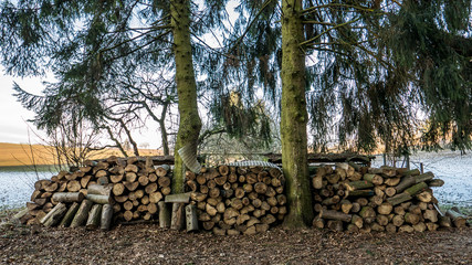 Brennholzlager © focus finder