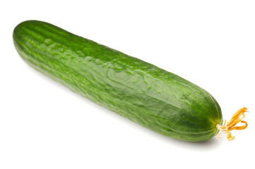 Fresh juicy cucumber on a white background, isolated