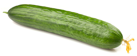 Fresh juicy cucumber on a white background, isolated