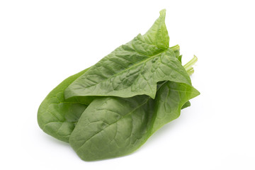 Fresh leaves of spinach on the white background.