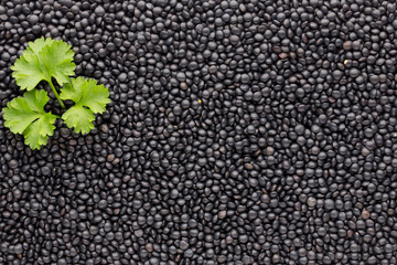 Food and cookery background of healthy dried  black lentils.