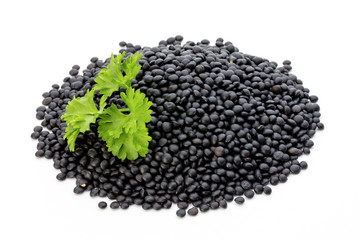 Lentin beluga. Black Lentins.Isolated on the white background.