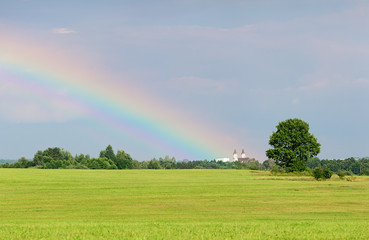 summer landscape