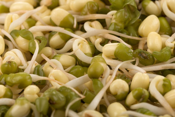 Pea seeds with sprouts close up