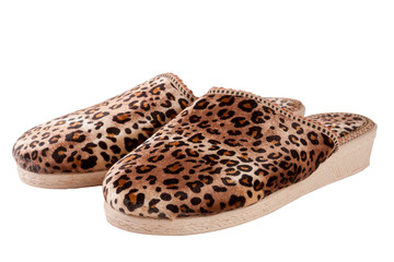 female domestic leopard slippers isolated on white background