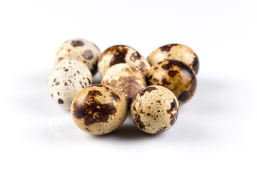 Quail eggs on white
