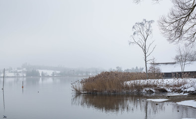 Pfäffikersee im tiefen Winter