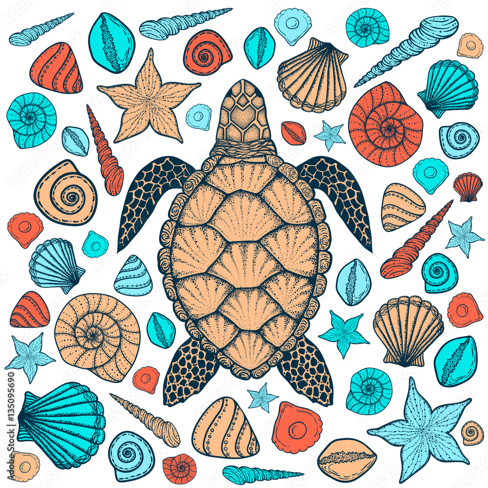 Wall mural Sea turtle and shells in line art style. Hand drawn vector illustration